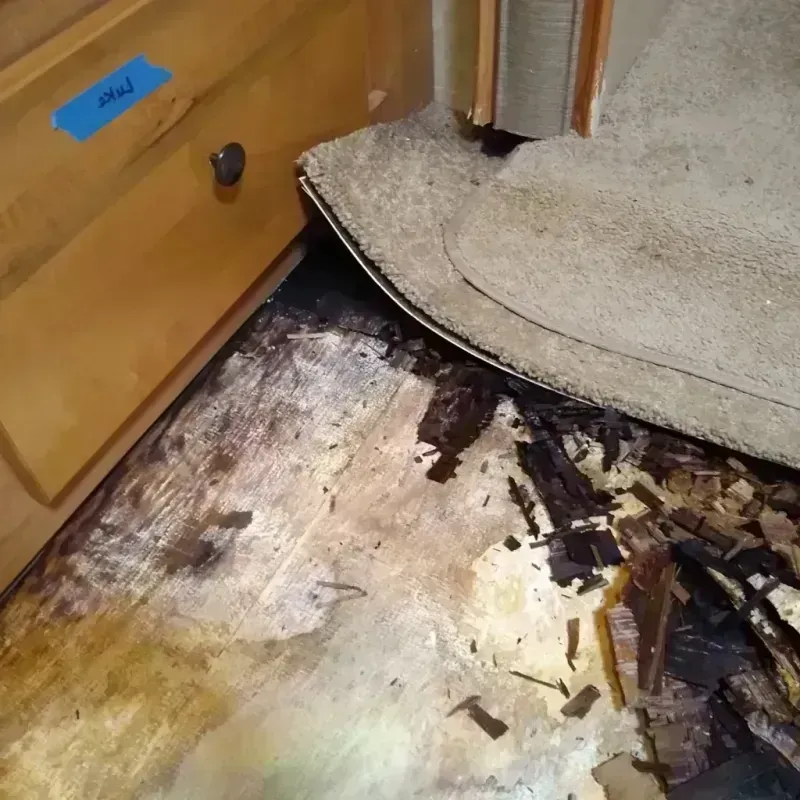 Best Wood Floor Water Damage Service in Grant-Valkaria, FL